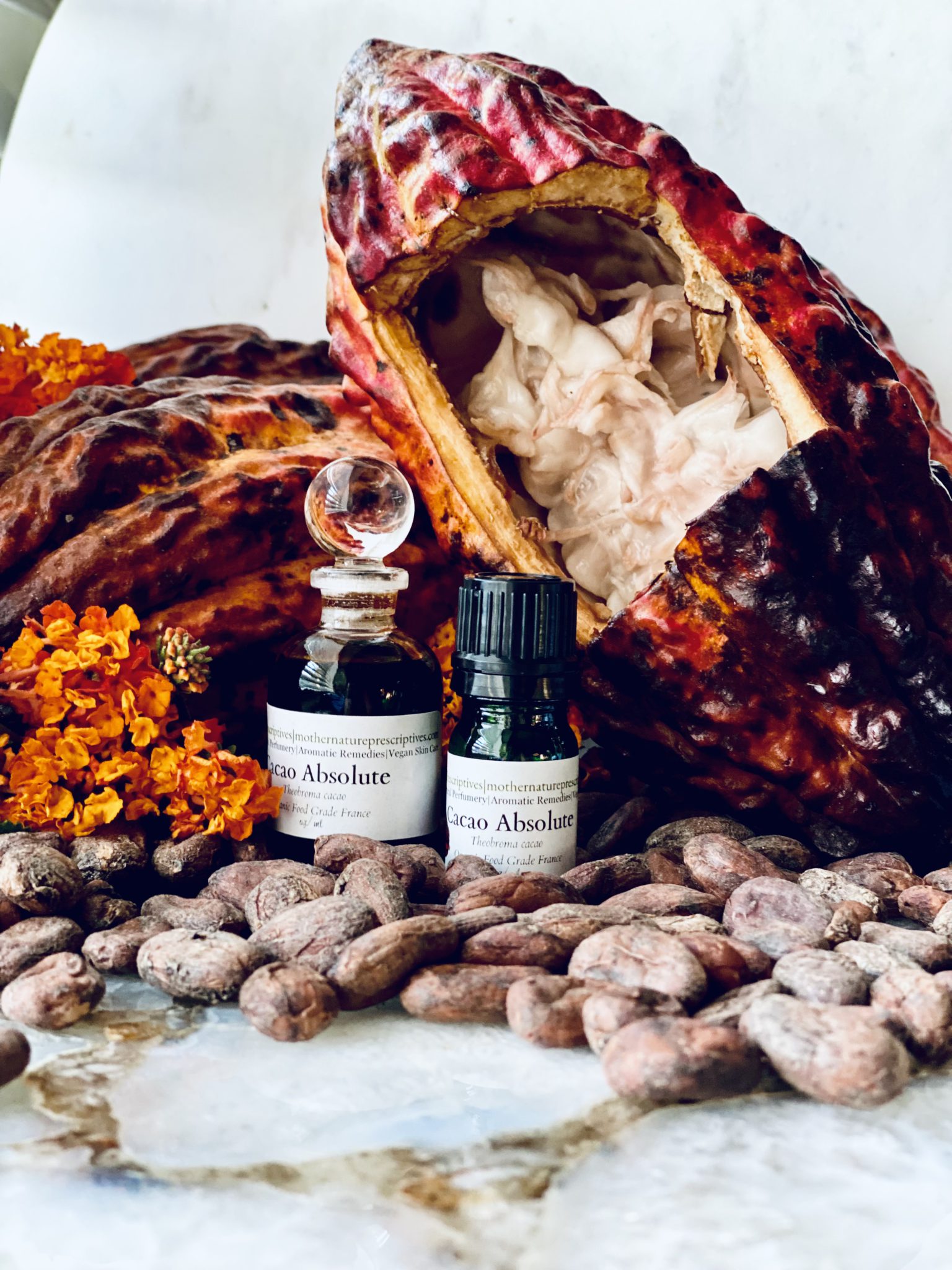 Cacao Absolute Oil Essential Oil Apothecary