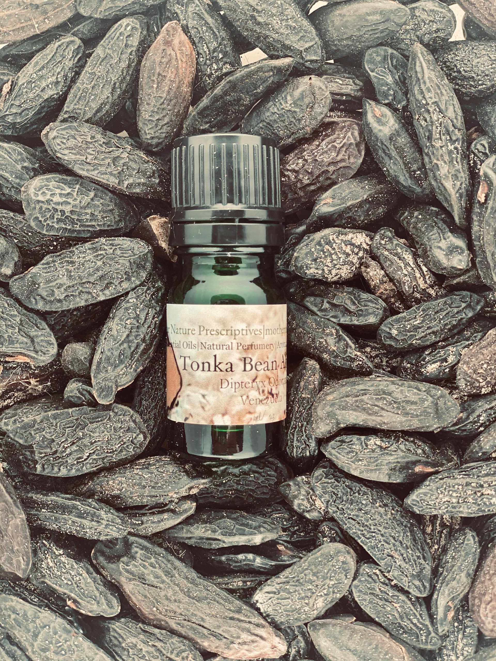 Tonka Bean Absolute Oil (Origin: Brazil) – The Aromatherapy Shop Ltd