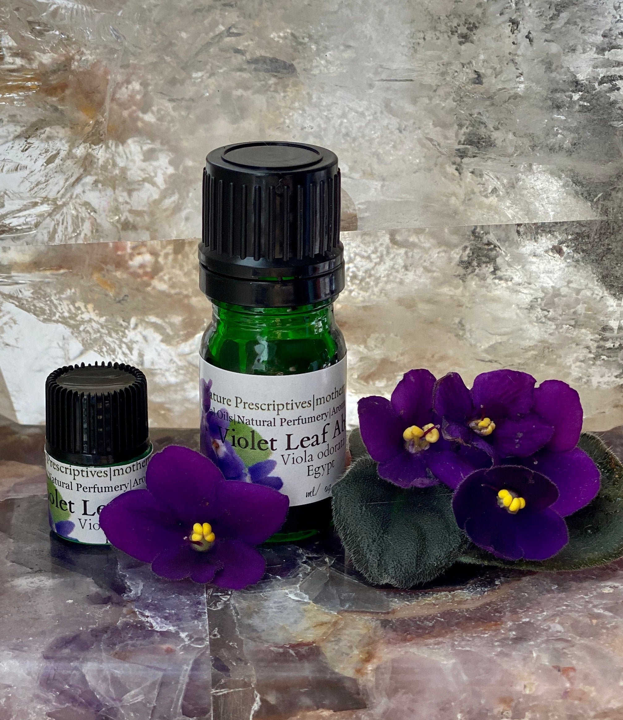 Violet Leaf Absolute Oil - Essential Oil Apothecary