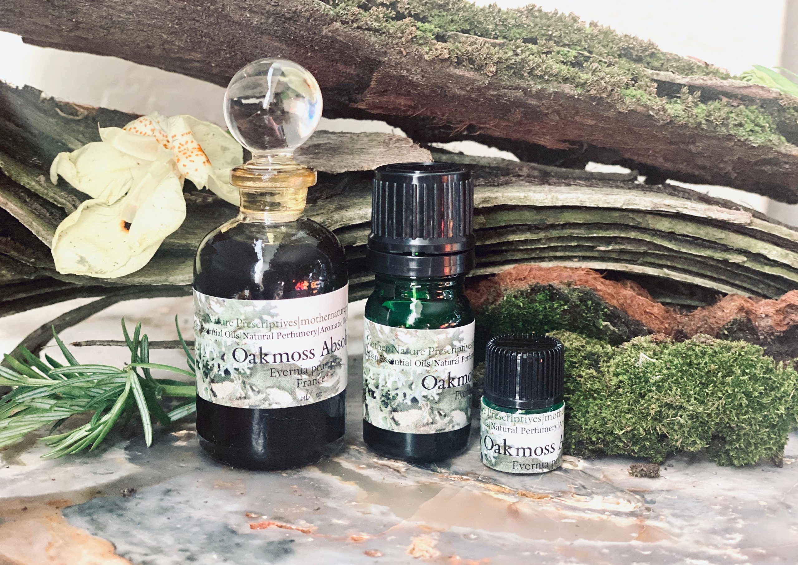 Oakmoss Absolute Oil - Essential Oil Apothecary