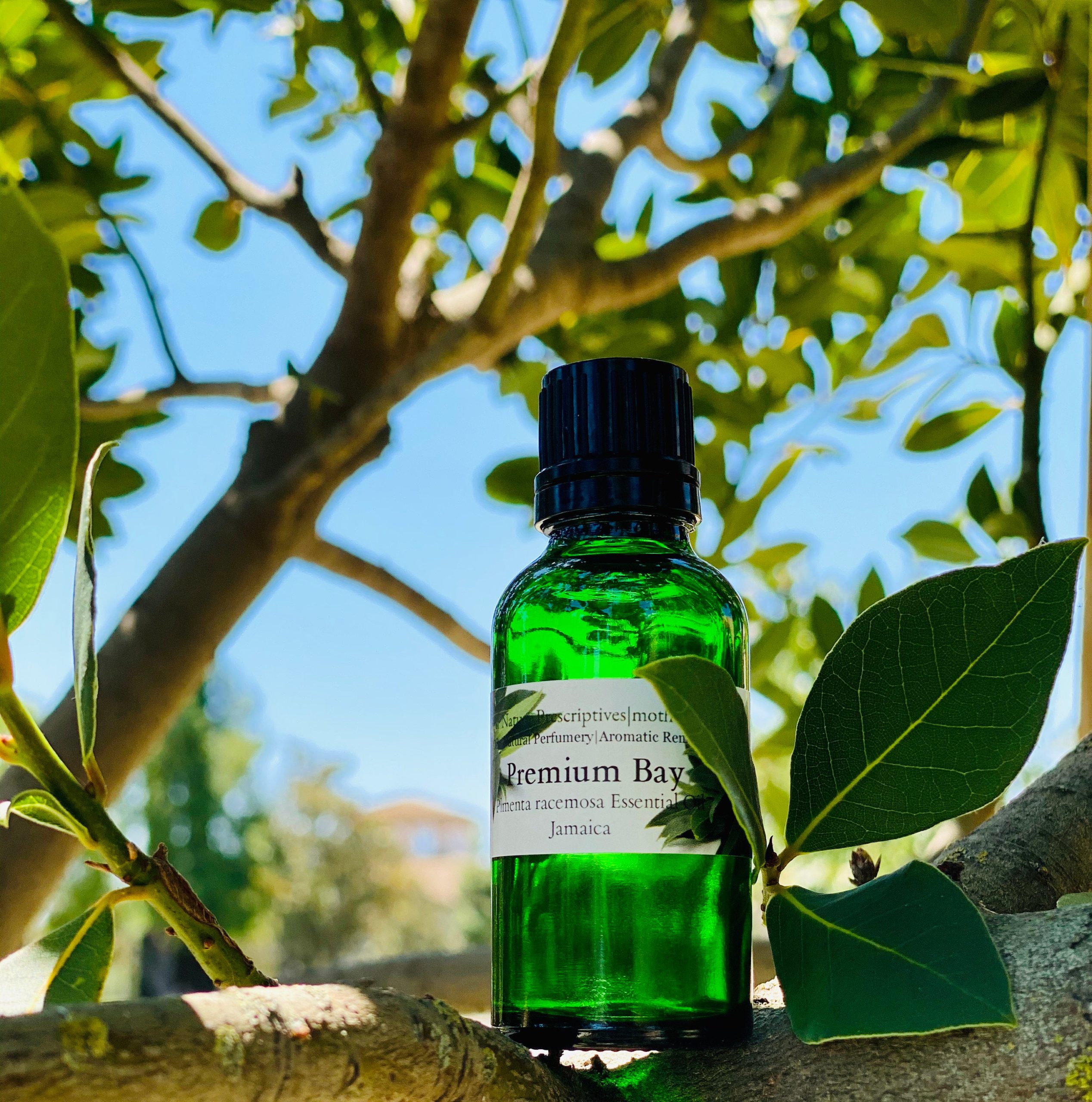 Jamaican Bay Essential Oil - Essential Oil Apothecary