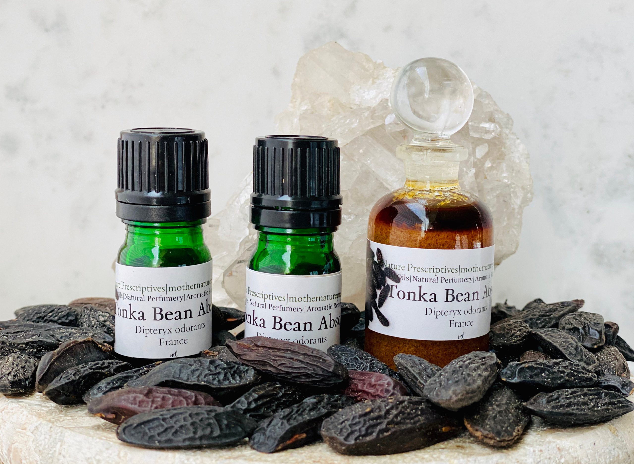 Tonka Bean Absolute Essential Oil - YouWish