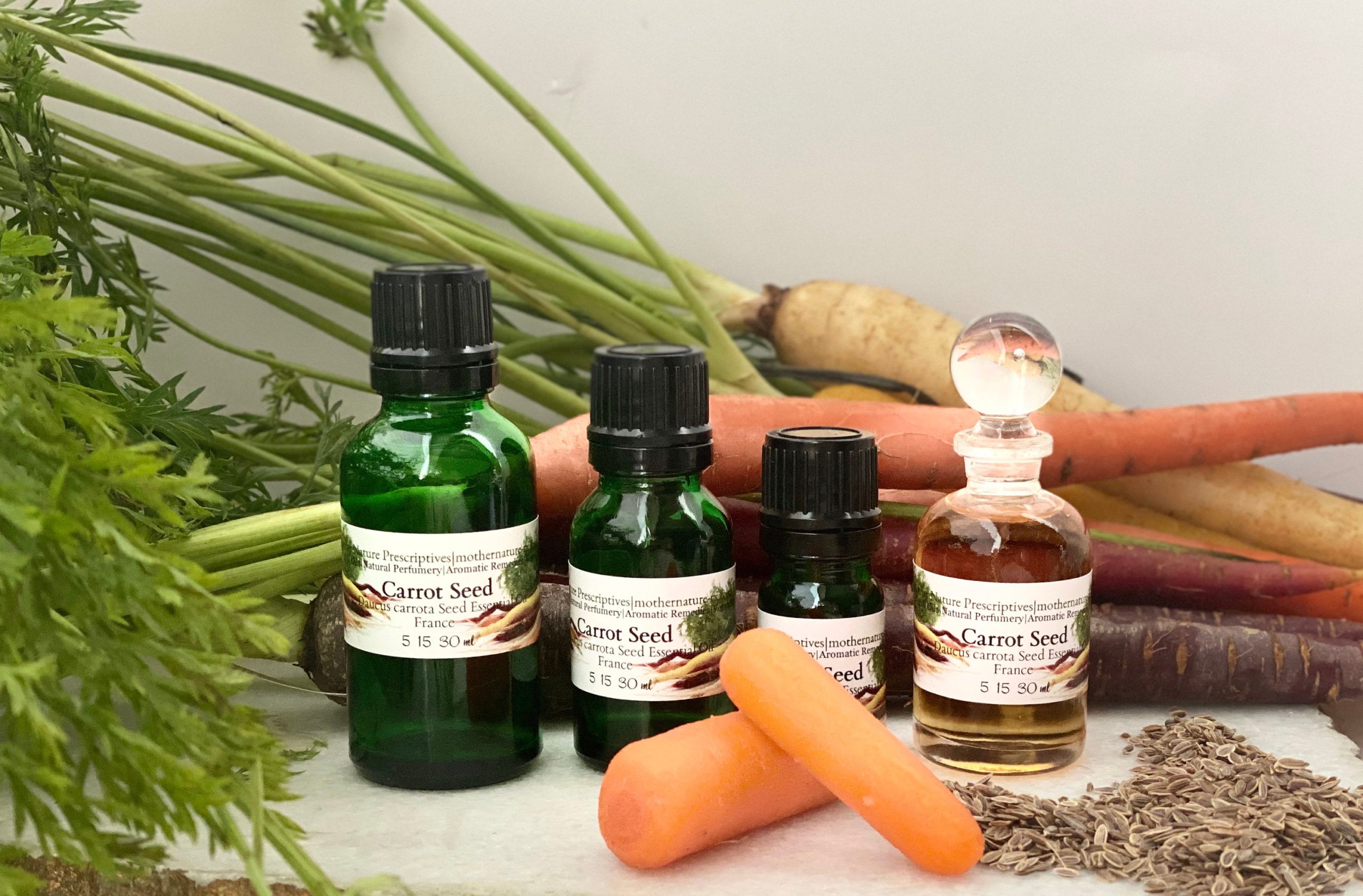Carrot Seed Essential Oil 10ml (Daucus carrota) - Miami Aromatherapy