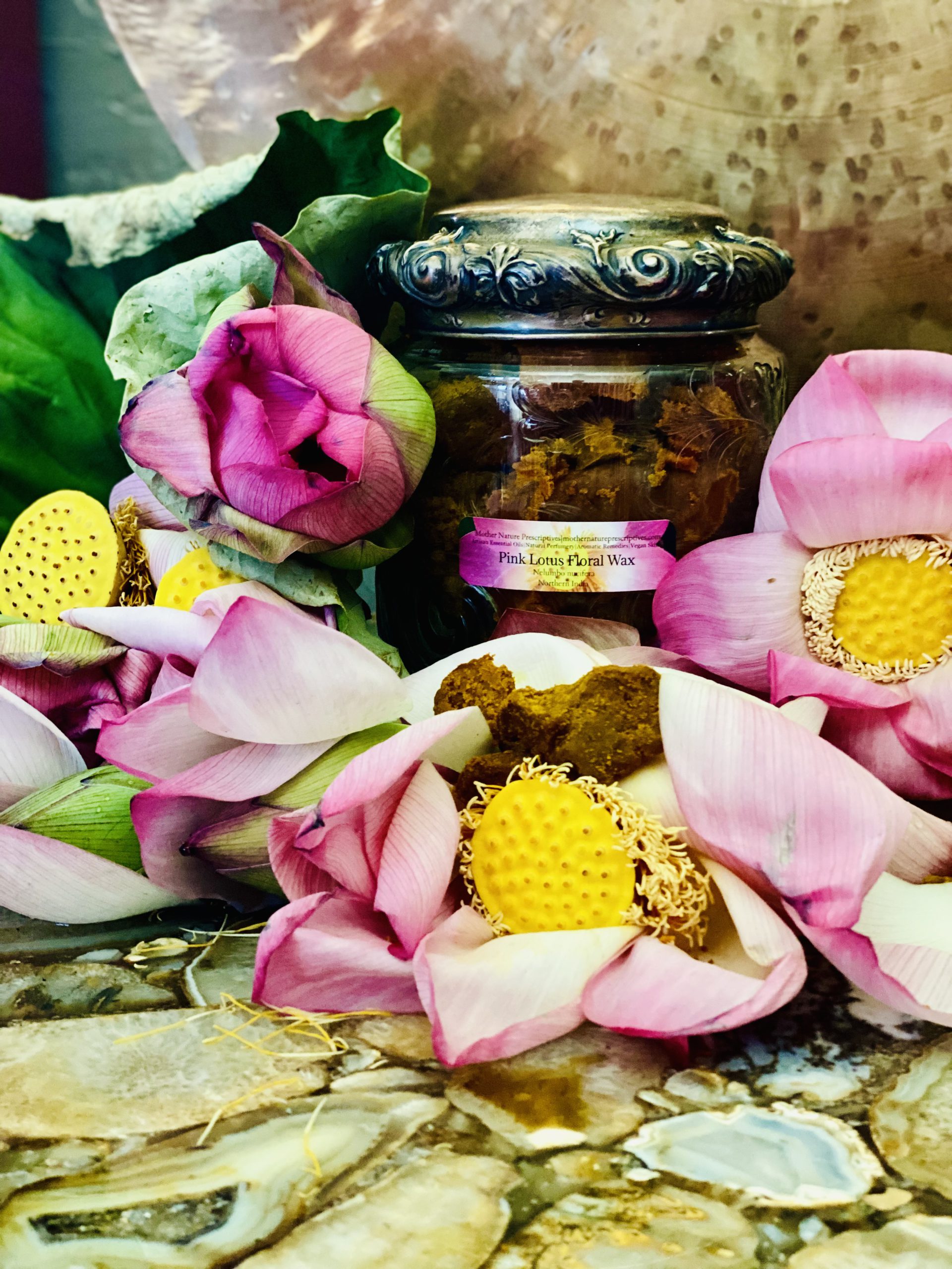 Pink Lotus Floral Wax - Essential Oil Apothecary