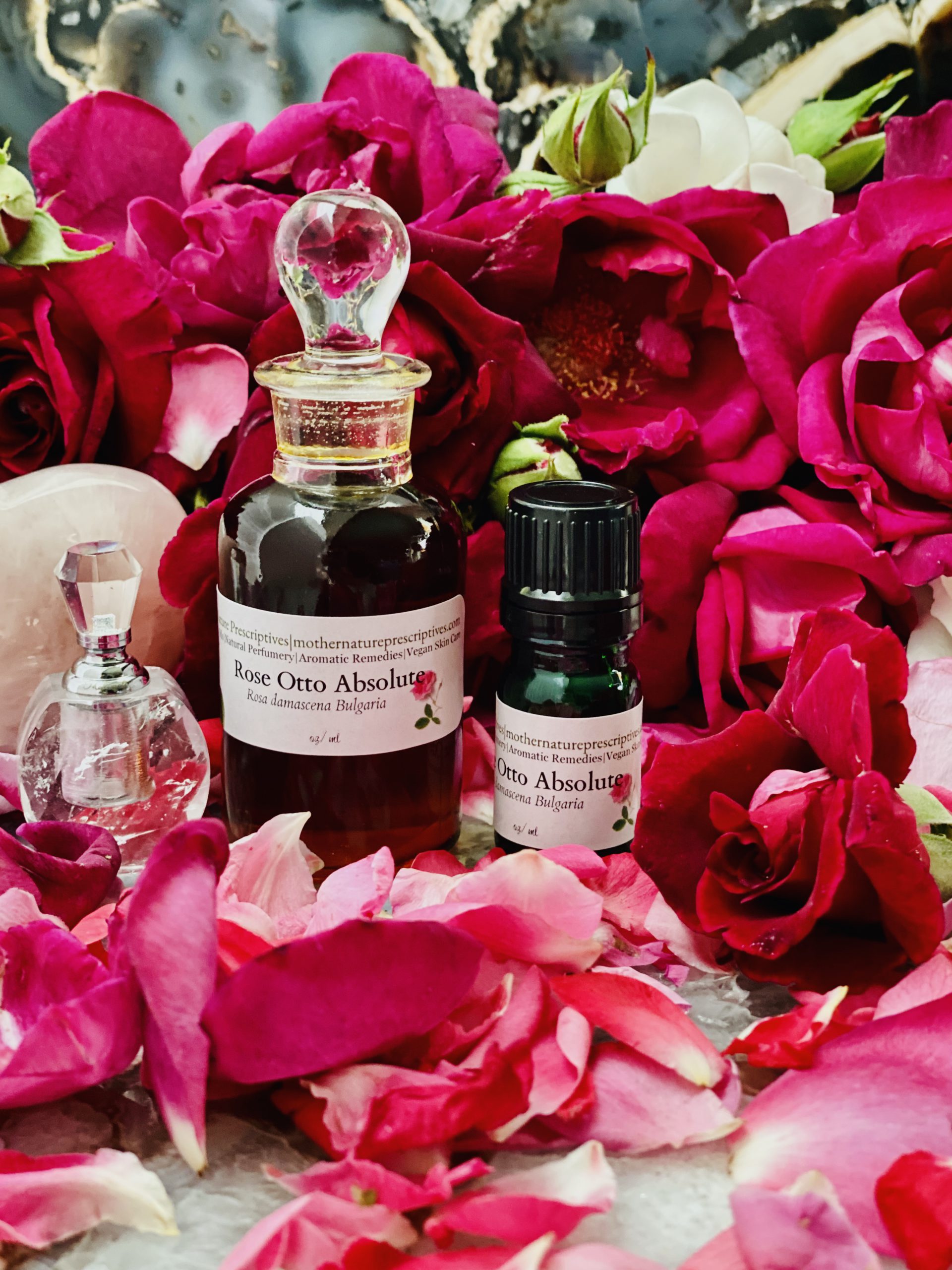 Rose Absolute Essential Oil - Aromatics International