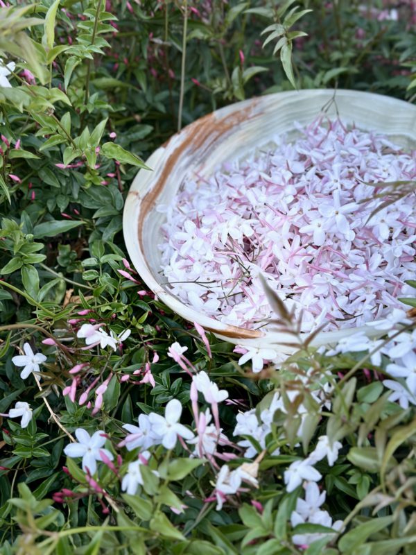 Jasmine Solifore Solid Perfume, Handmade In California - Image 12