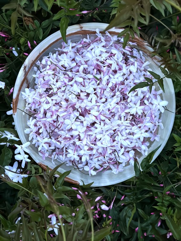 Jasmine Solifore Solid Perfume, Handmade In California - Image 16