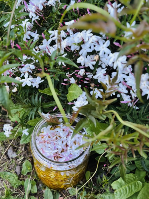 Jasmine Solifore Solid Perfume, Handmade In California - Image 14