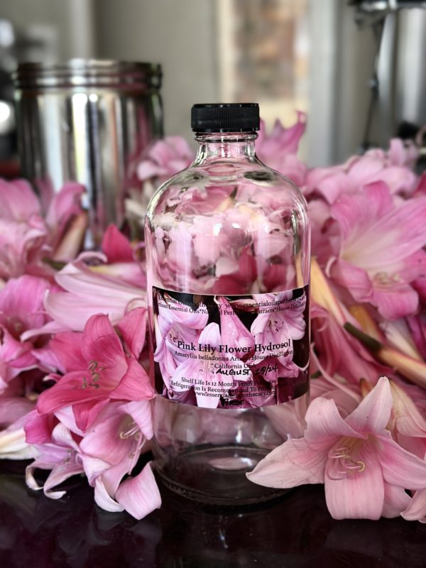 Lily Pink Hydrosol Foraged And Distilled in California - Image 4