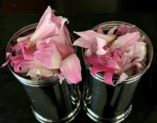 Lily Pink Hydrosol Foraged And Distilled in California - Image 11