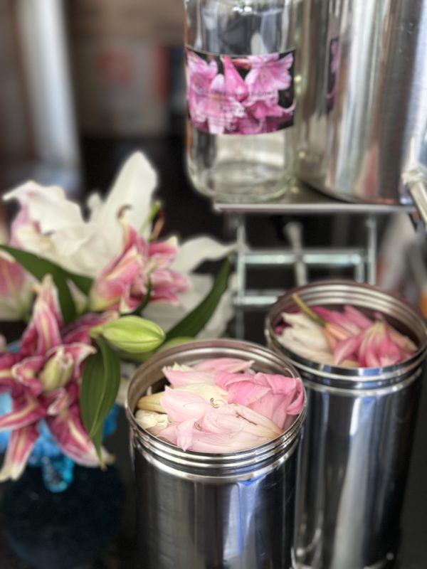 Lily Pink Hydrosol Foraged And Distilled in California - Image 6