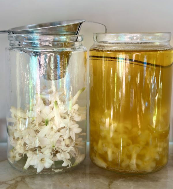 Tuberose Solifore Solid Perfume, Handmade In California - Image 8