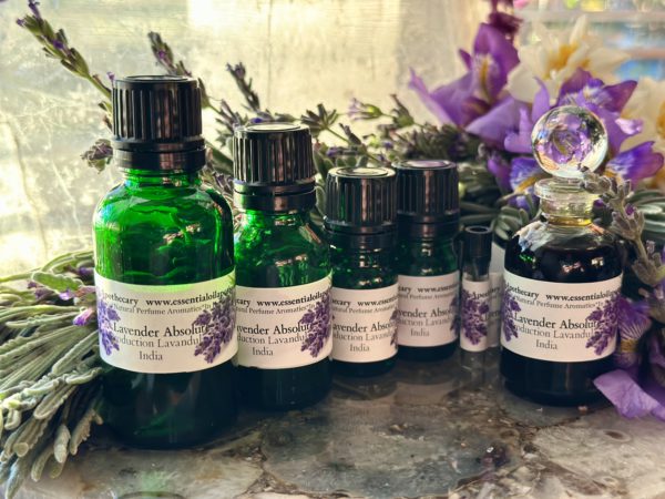 Lavender Absolute Oil India - Image 9