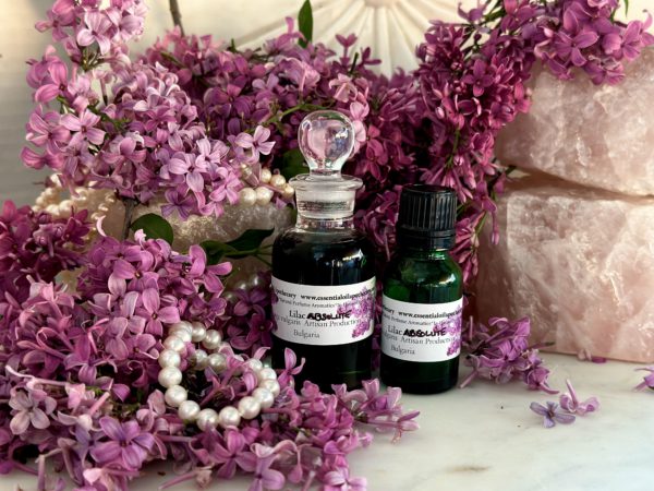 Lilac Absolute Oil Hexane Free - Image 5