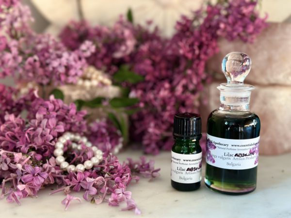 Lilac Absolute Oil Hexane Free - Image 6