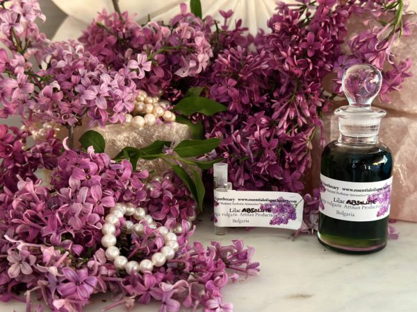 Lilac Absolute Oil Hexane Free - Image 4