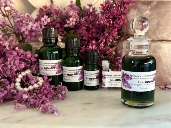 Lilac Absolute Oil Hexane Free - Image 8