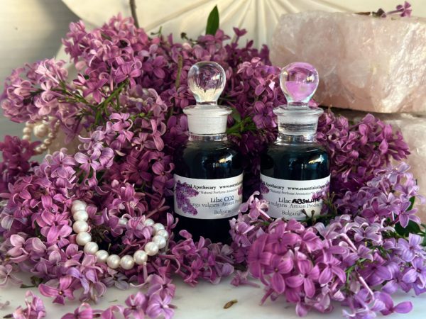 Lilac Absolute Oil Hexane Free - Image 9