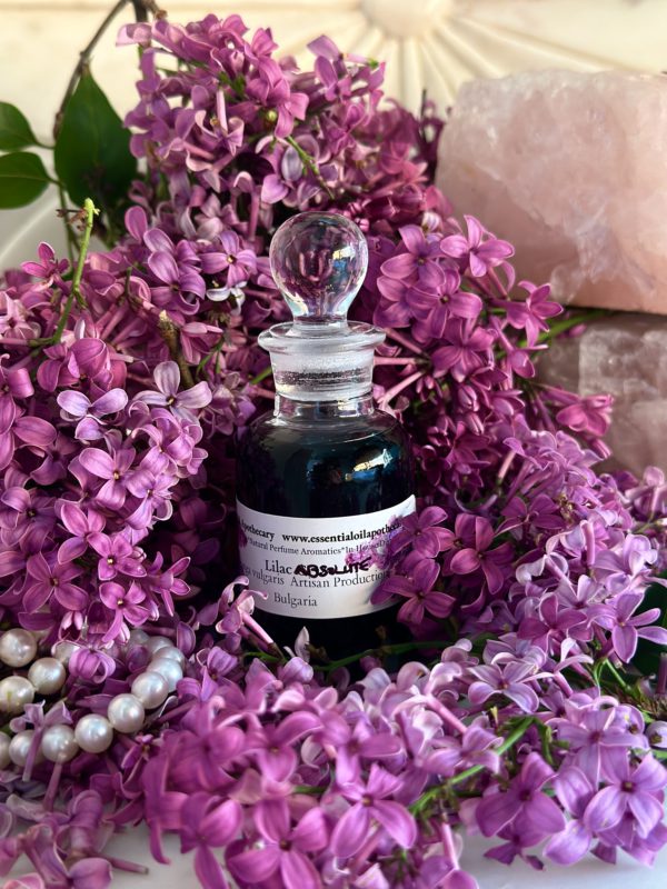 Lilac Absolute Oil Hexane Free
