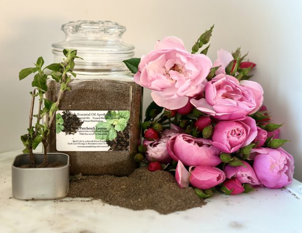 Patchouli Powder, Indonesia - Image 2