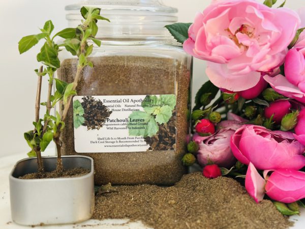 Patchouli Powder, Indonesia - Image 3