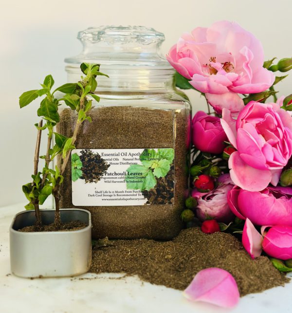 Patchouli Powder, Indonesia