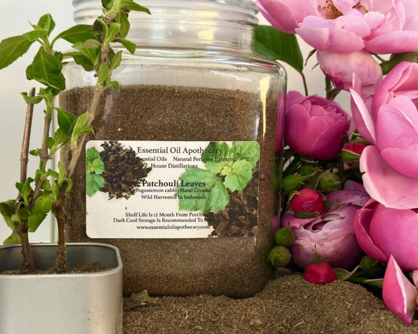 Patchouli Powder, Indonesia - Image 6