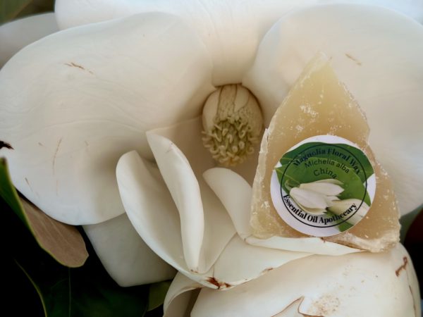 Magnolia Floral Wax - Image 2
