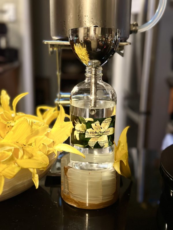 Lily Yellow Hydrosol California - Image 4