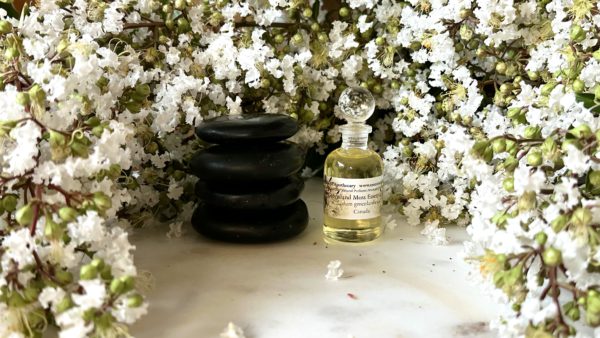 Ledum Greenland Moss Essential Oil Canada - Image 5