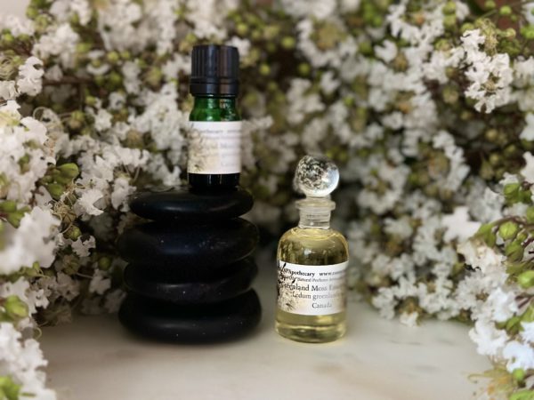 Ledum Greenland Moss Essential Oil Canada - Image 3