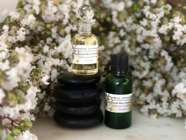 Ledum Greenland Moss Essential Oil Canada