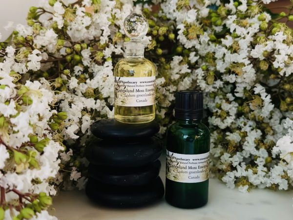 Ledum Greenland Moss Essential Oil Canada - Image 6