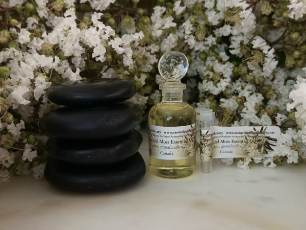 Ledum Greenland Moss Essential Oil Canada - Image 7