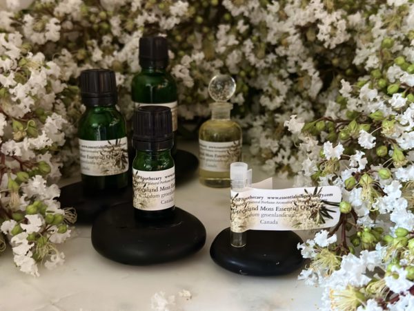 Ledum Greenland Moss Essential Oil Canada - Image 8